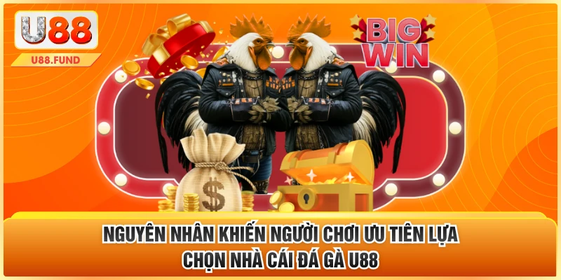 Nguyên nhân khiến người chơi ưu tiên lựa chọn nhà cái đá gà U88